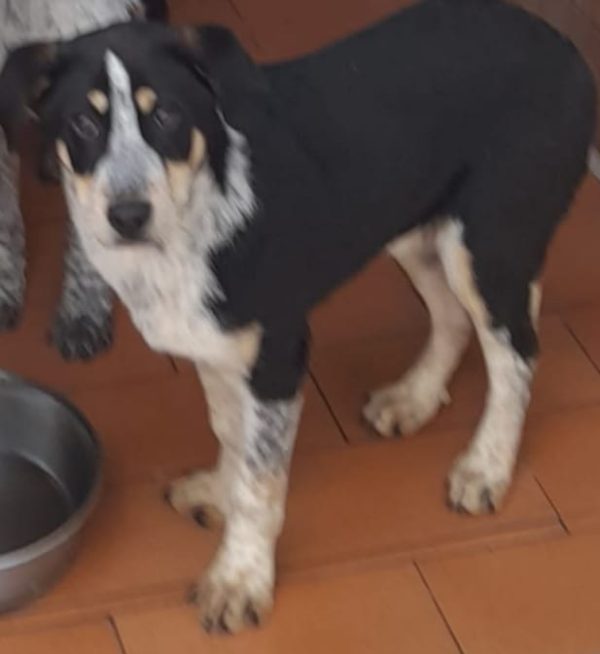 BEM