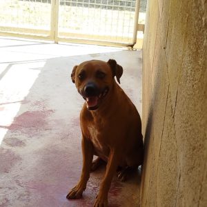 TEO
