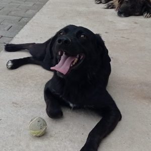 OMBRA