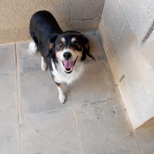 PIERA
